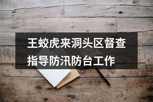 王蛟虎来洞头区督查指导防汛防台工作