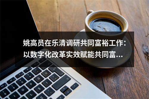 姚高员在乐清调研共同富裕工作：以数字化改革实效赋能共同富裕