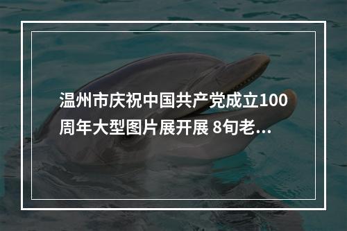 温州市庆祝中国共产党成立100周年大型图片展开展 8旬老党员观展前还做了这件事
