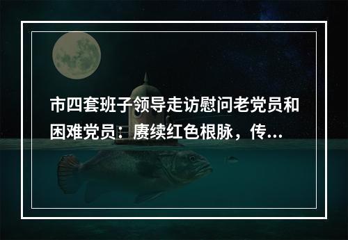 市四套班子领导走访慰问老党员和困难党员：赓续红色根脉，传承红色基因