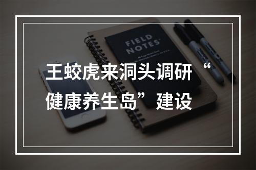 王蛟虎来洞头调研“健康养生岛”建设