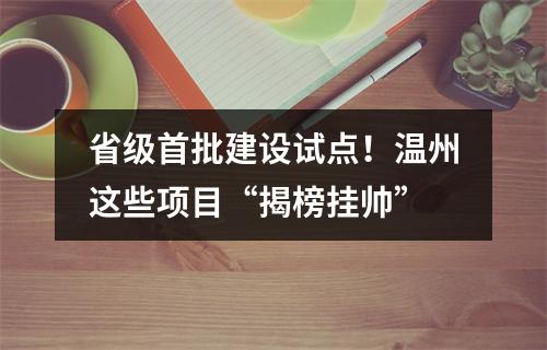 省级首批建设试点！温州这些项目“揭榜挂帅”