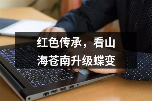 红色传承，看山海苍南升级蝶变