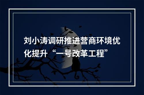 刘小涛调研推进营商环境优化提升“一号改革工程”