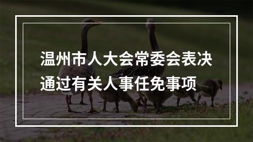 温州市人大会常委会表决通过有关人事任免事项