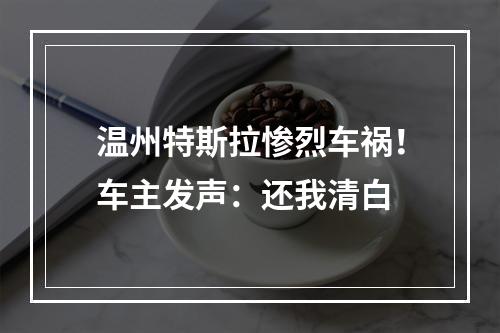 温州特斯拉惨烈车祸！车主发声：还我清白
