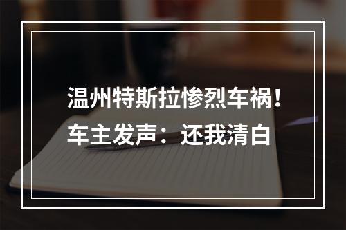 温州特斯拉惨烈车祸！车主发声：还我清白