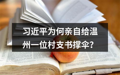 习近平为何亲自给温州一位村支书撑伞？