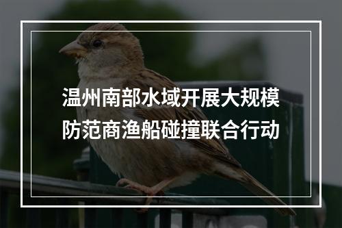 温州南部水域开展大规模防范商渔船碰撞联合行动