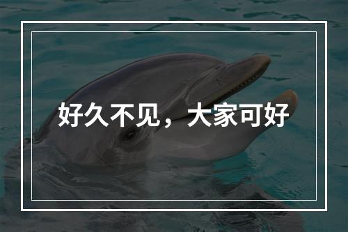 好久不见，大家可好