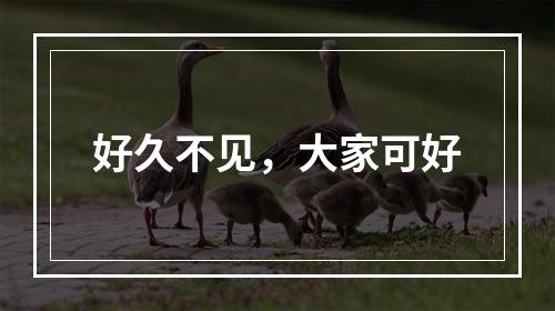 好久不见，大家可好