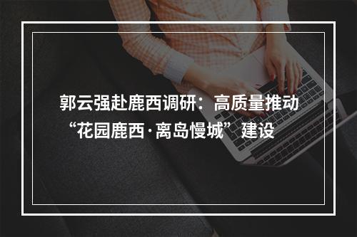 郭云强赴鹿西调研：高质量推动“花园鹿西·离岛慢城”建设