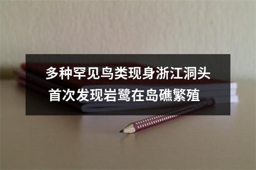 多种罕见鸟类现身浙江洞头 首次发现岩鹭在岛礁繁殖