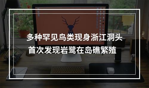 多种罕见鸟类现身浙江洞头 首次发现岩鹭在岛礁繁殖