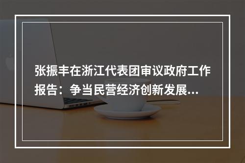 张振丰在浙江代表团审议政府工作报告：争当民营经济创新发展先行样板