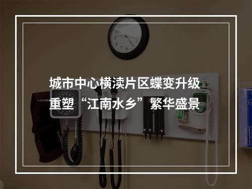 城市中心横渎片区蝶变升级 重塑“江南水乡”繁华盛景