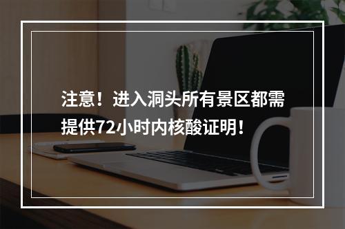 注意！进入洞头所有景区都需提供72小时内核酸证明！