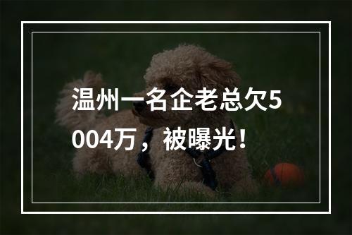 温州一名企老总欠5004万，被曝光！