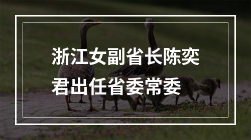 浙江女副省长陈奕君出任省委常委