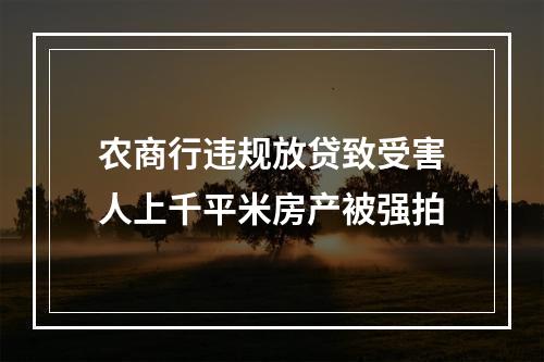 农商行违规放贷致受害人上千平米房产被强拍