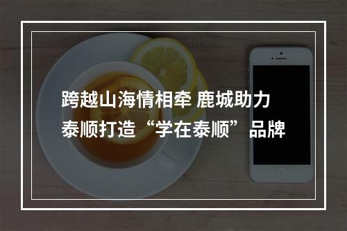 跨越山海情相牵 鹿城助力泰顺打造“学在泰顺”品牌