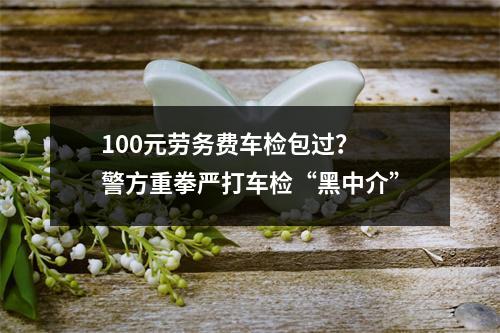 100元劳务费车检包过？ 警方重拳严打车检“黑中介”