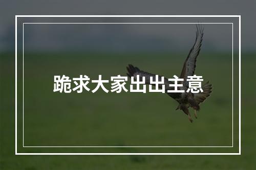 跪求大家出出主意