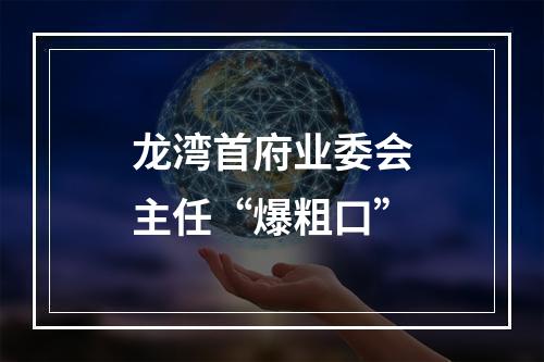 龙湾首府业委会主任“爆粗口”