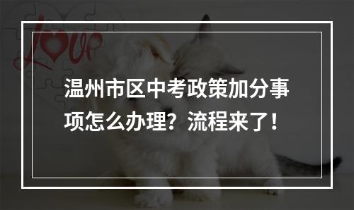 温州市区中考政策加分事项怎么办理？流程来了！