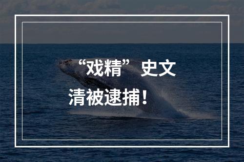 “戏精”史文清被逮捕！