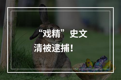 “戏精”史文清被逮捕！