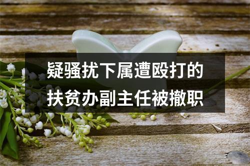 疑骚扰下属遭殴打的扶贫办副主任被撤职