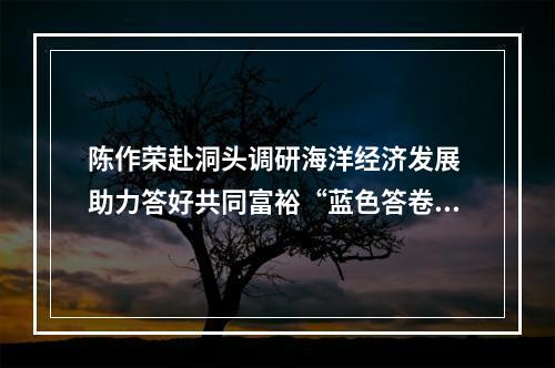 陈作荣赴洞头调研海洋经济发展 助力答好共同富裕“蓝色答卷”