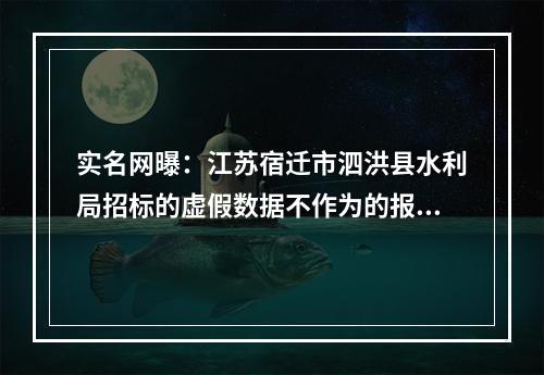 实名网曝：江苏宿迁市泗洪县水利局招标的虚假数据不作为的报道！