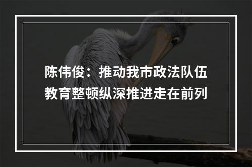 陈伟俊：推动我市政法队伍教育整顿纵深推进走在前列
