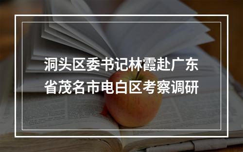 洞头区委书记林霞赴广东省茂名市电白区考察调研