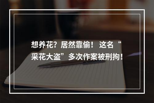 想养花？居然靠偷！ 这名“采花大盗”多次作案被刑拘！