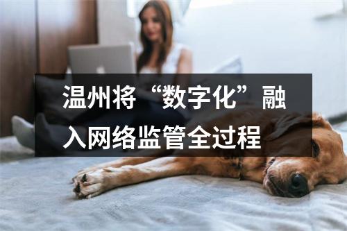 温州将“数字化”融入网络监管全过程
