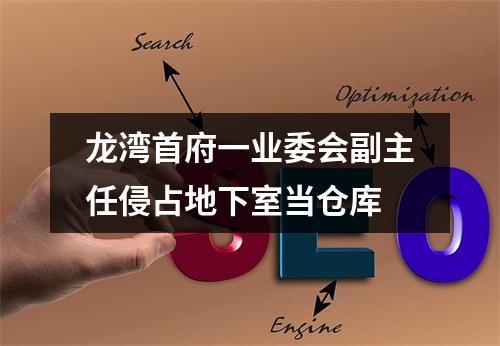 龙湾首府一业委会副主任侵占地下室当仓库