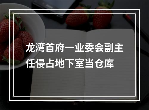 龙湾首府一业委会副主任侵占地下室当仓库