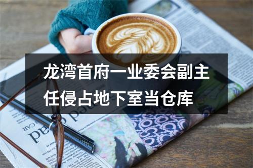 龙湾首府一业委会副主任侵占地下室当仓库