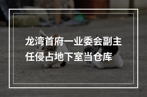 龙湾首府一业委会副主任侵占地下室当仓库