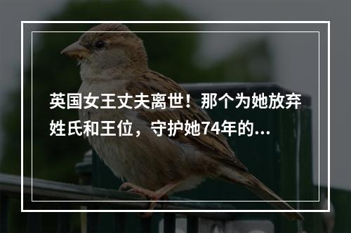 英国女王丈夫离世！那个为她放弃姓氏和王位，守护她74年的男人，离开了…