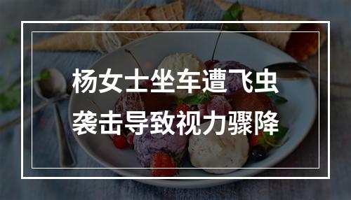 杨女士坐车遭飞虫袭击导致视力骤降