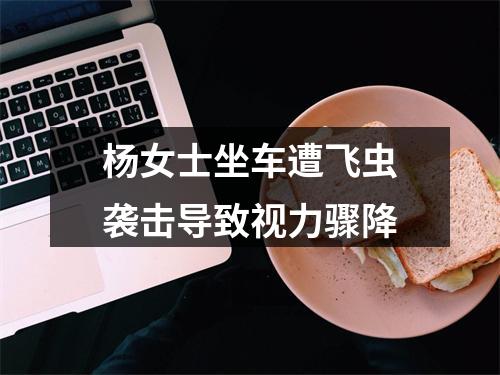 杨女士坐车遭飞虫袭击导致视力骤降