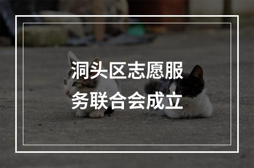 洞头区志愿服务联合会成立