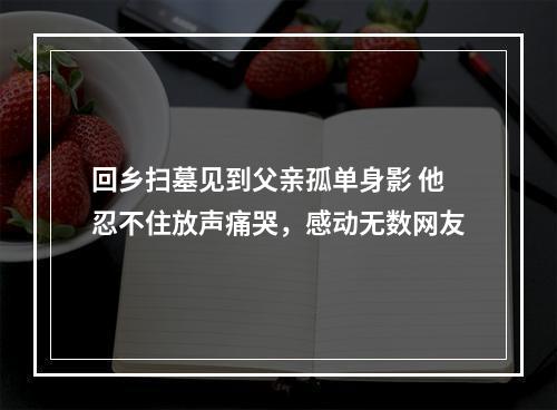 回乡扫墓见到父亲孤单身影 他忍不住放声痛哭，感动无数网友