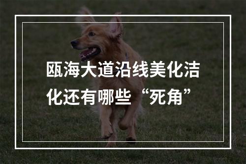瓯海大道沿线美化洁化还有哪些“死角”