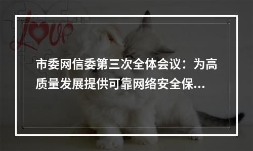 市委网信委第三次全体会议：为高质量发展提供可靠网络安全保障