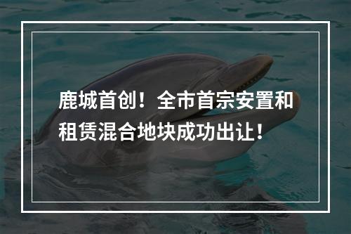 鹿城首创！全市首宗安置和租赁混合地块成功出让！